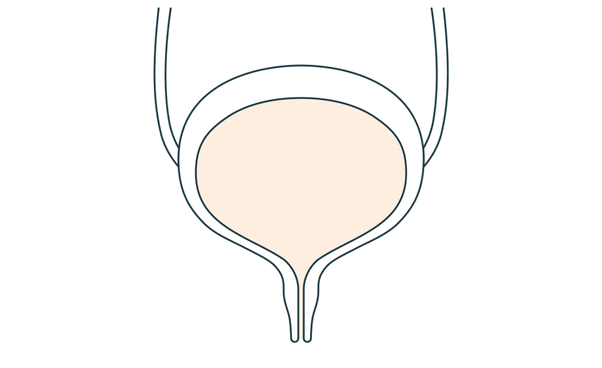 Conservazione dell'urina